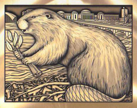 2008 Brass Rat